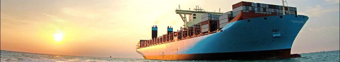 Công ty cổ phần Đông Sơn Thanh Hóa